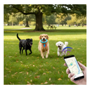 Rastreador GPS Veicular Com Chip E App Tempo Real